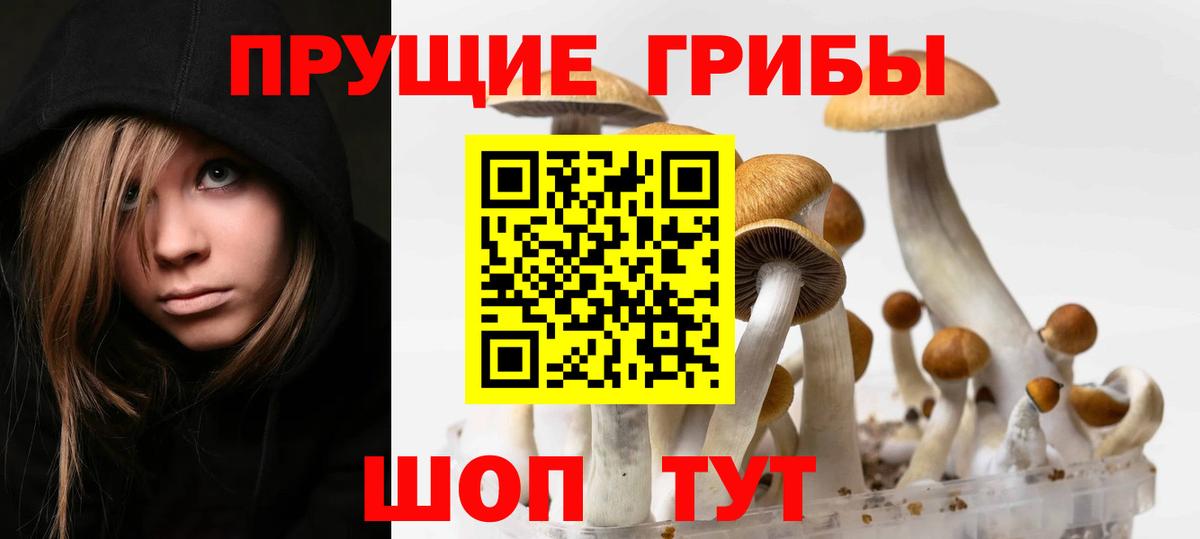 Галлюциногенные грибы прущие грибы Кольчугино